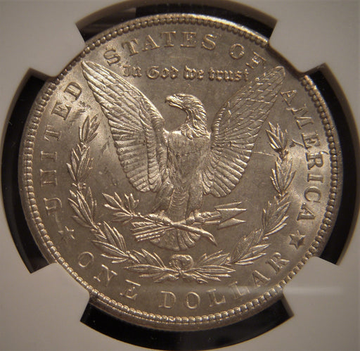 1904 Morgan Dollar - NGC Unc Details Scratched