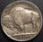 1925 Buffalo Nickel - Extra Fine