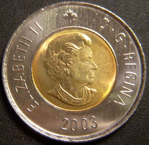 2003 Canadian $2 Dollar - No Crown Unc.