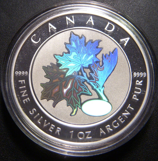 2003 $5 Good Fortune Silver Canada Maple Leaf