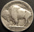 1919-D Buffalo Nickel - Very Good