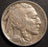 1916 Buffalo Nickel - Extra Fine