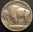 1913-S T1 Buffalo Nickel - Extra Fine