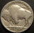 1919-D Buffalo Nickel - Very Good