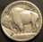 1913-D T1 Buffalo Nickel - Fine