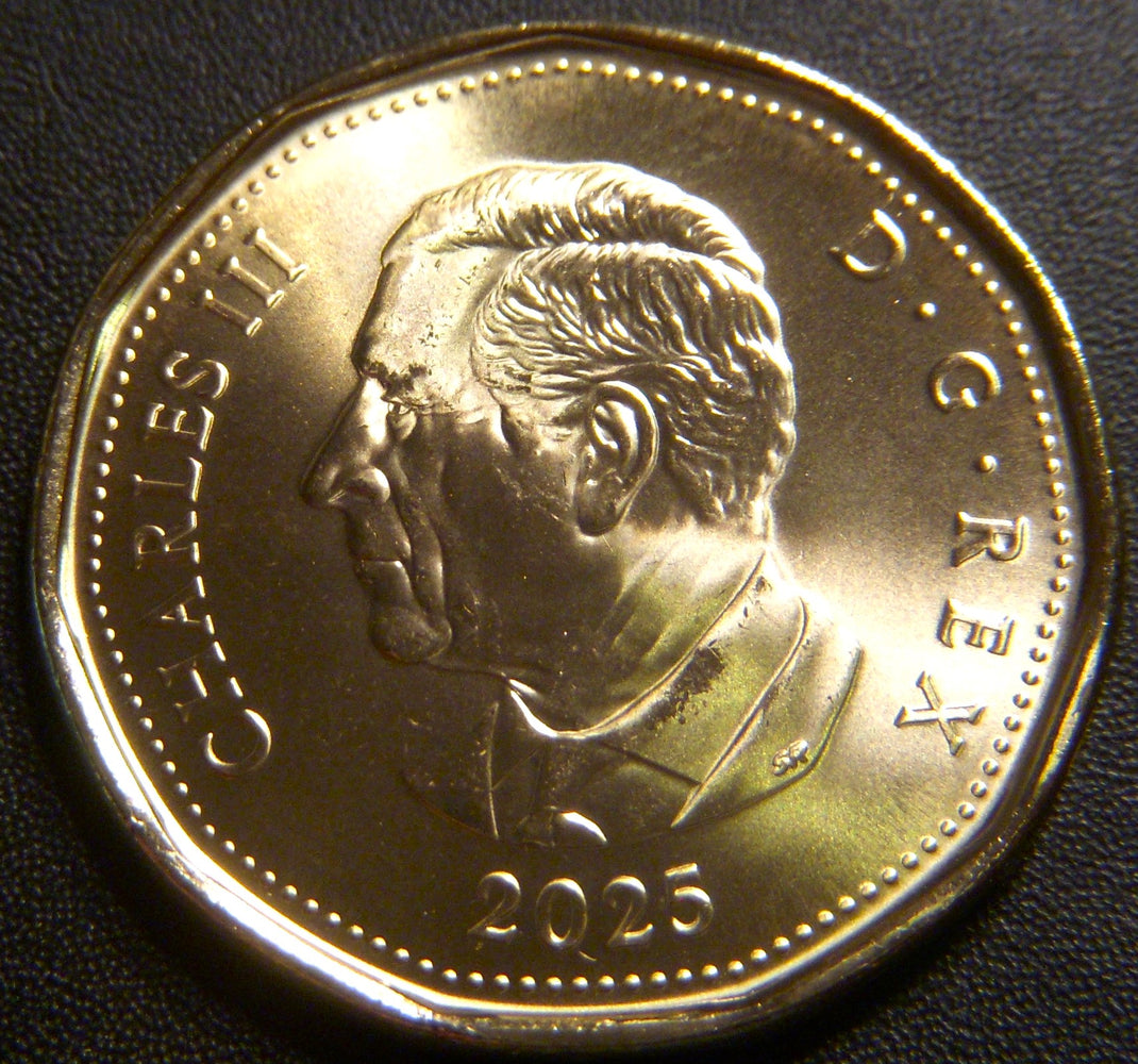 2025 Canadian Loon Dollar - Uncirculated