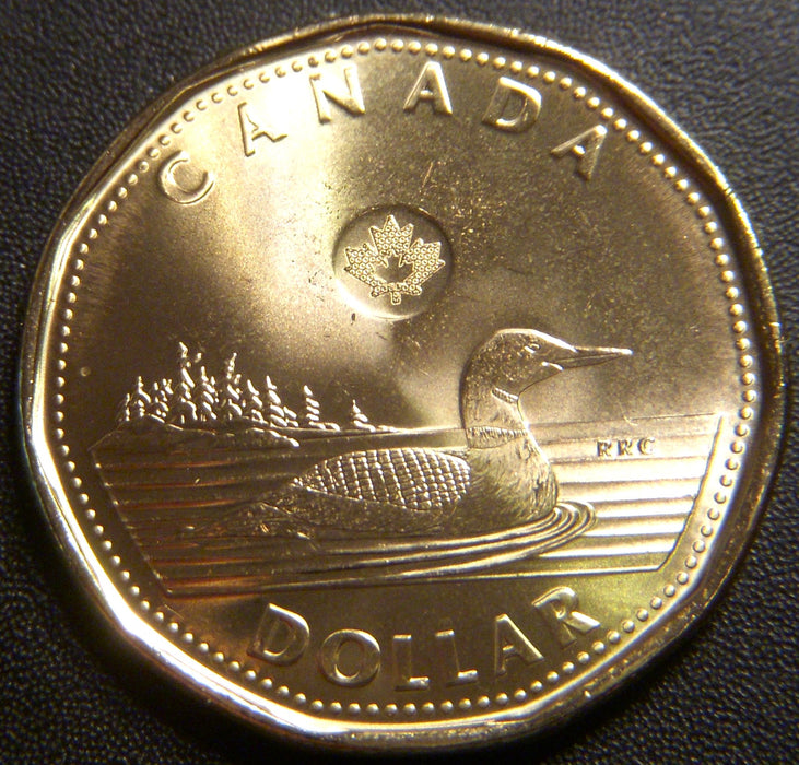 2025 Canadian Loon Dollar - Uncirculated
