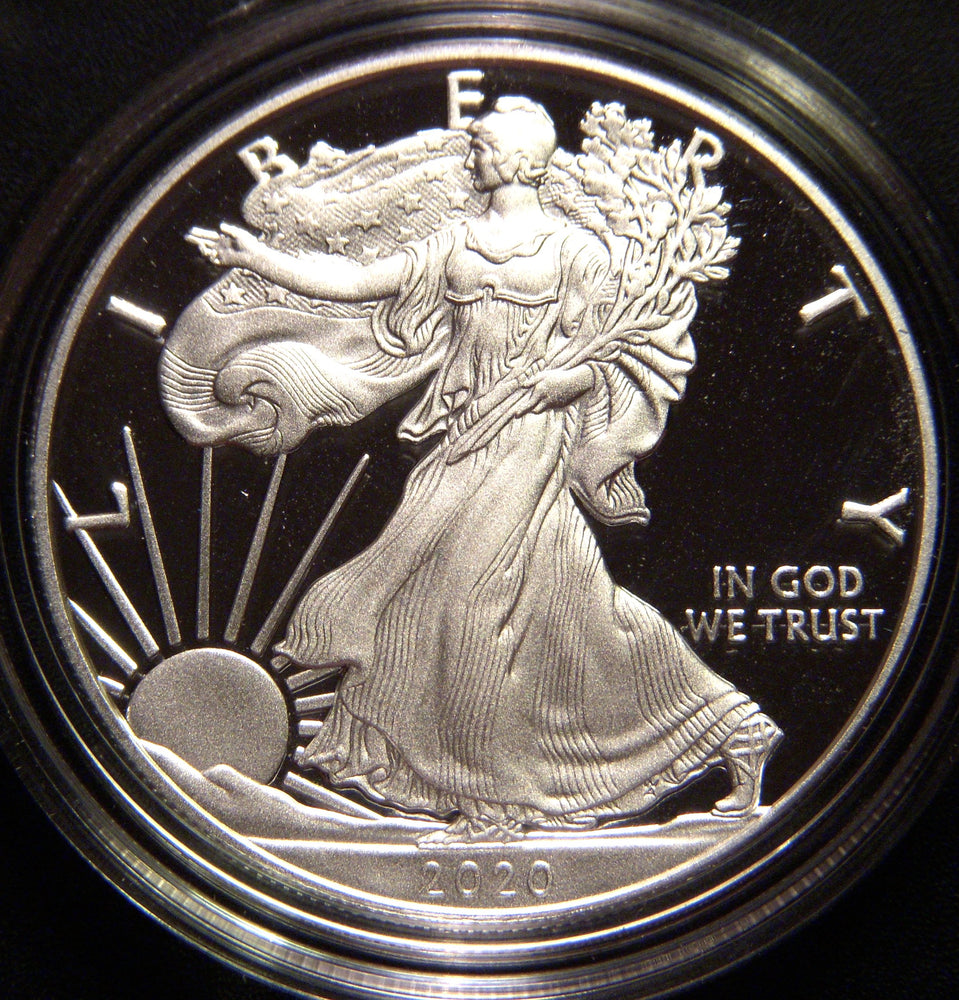 2020-W Proof Silver Eagle - Government Packaging With COA