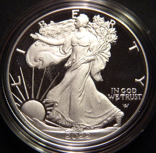 2022-W Proof Silver Eagle - Government Packaging With COA