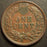 1891 Indian Head Cent - Extra Fine