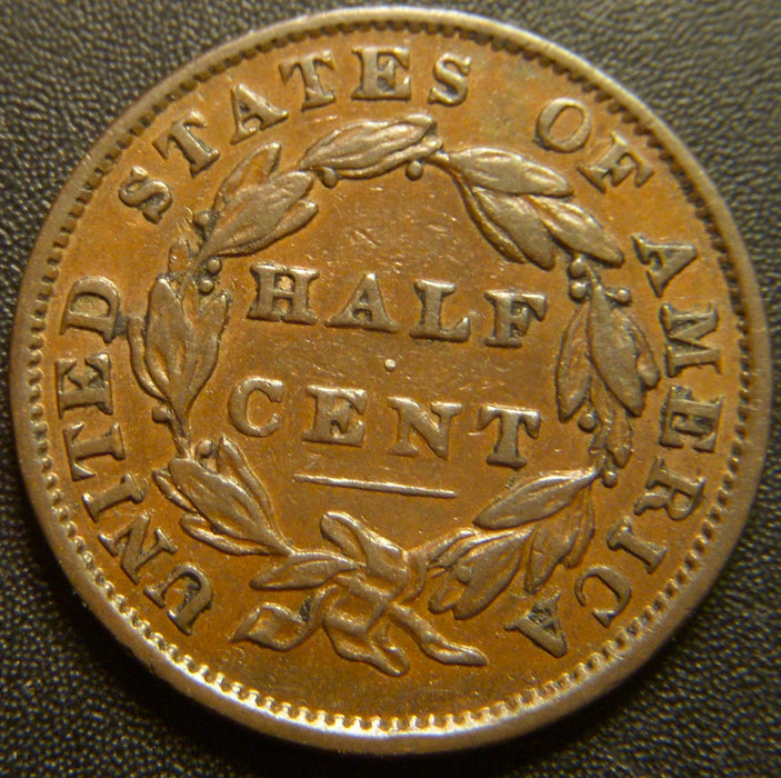 1834 Half Cent - Extra Fine