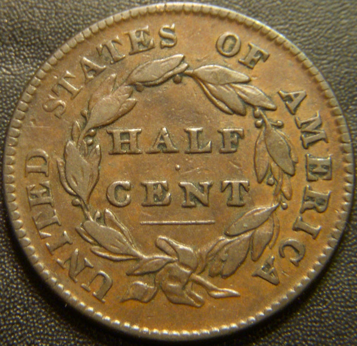 1828 Half Cent - 12 Stars Fine