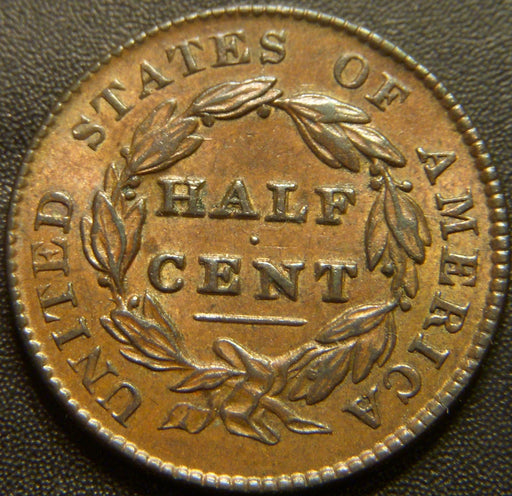 1828 Half Cent - 13 Stars AU+