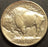 1913-D T1 Buffalo Nickel - Extra Fine