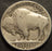 1916-S Buffalo Nickel - Good