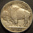 1917 Buffalo Nickel - Extra Fine