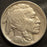 1919 Buffalo Nickel - Extra Fine