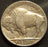 1919 Buffalo Nickel - Extra Fine