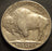 1920 Buffalo Nickel - Extra Fine