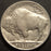 1923 Buffalo Nickel - Extra Fine