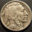 1925-D Buffalo Nickel - Fine