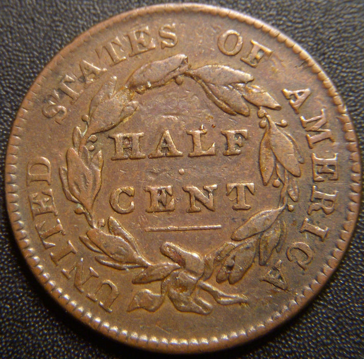 1828 Half Cent - 12 Stars Fine