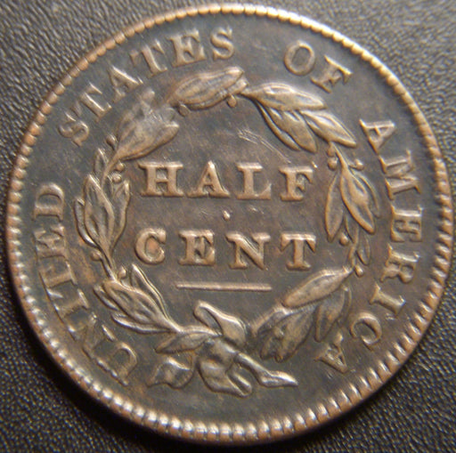 1828 Half Cent - 12 Stars Very Fine