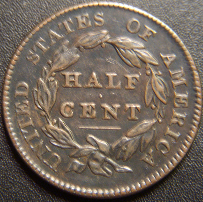 1828 Half Cent - 12 Stars Very Fine