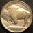 1913 T1 Buffalo Nickel - AU