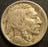 1919-D Buffalo Nickel - Fine