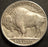 1920 Buffalo Nickel - Extra Fine