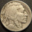 1924-D Buffalo Nickel - Fine