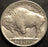 1926 Buffalo Nickel - Extra Fine