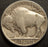 1929-D Buffalo Nickel - Fine