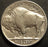 1930 Buffalo Nickel - Extra Fine