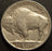 1931-S Buffalo Nickel - Extra Fine