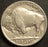 1938-D Buffalo Nickel - Extra Fine