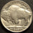1935 Buffalo Nickel - Extra Fine