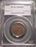1855 Half Cent - PCGS MS64BN