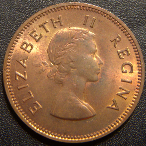 1955 1/2 Penny - South Africa