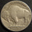 1917-S Buffalo Nickel - Fine