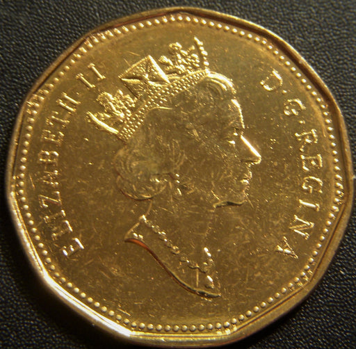 1991 Canadian $1 - VF or Better