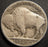 1919-D Buffalo Nickel - Good